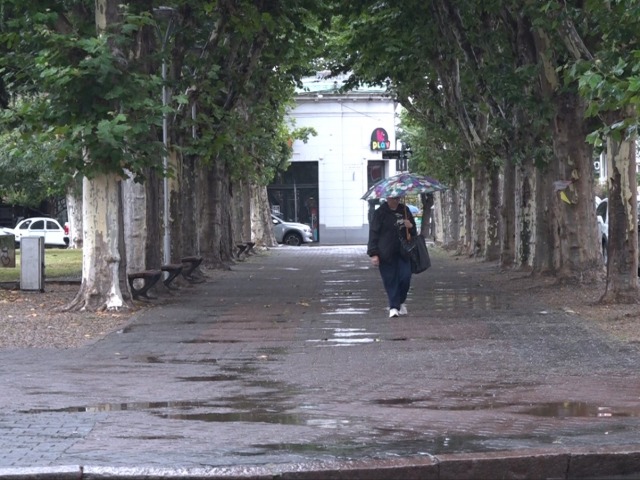 Alerta amarilla por tormentas para la noche de este jueves